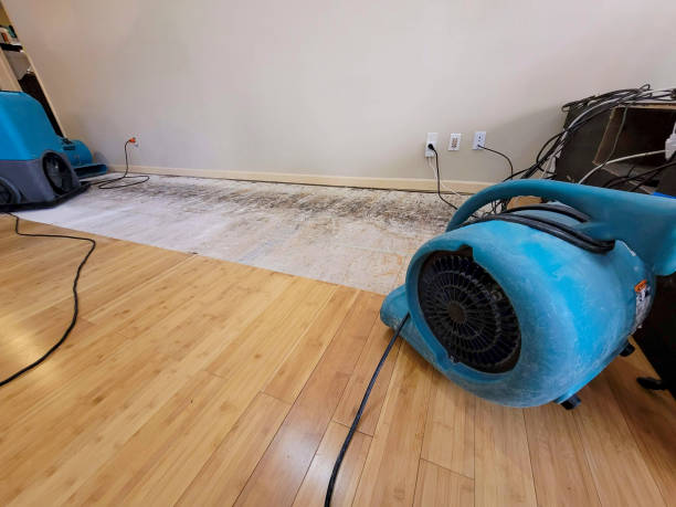 Professional Flood Damage Cleanup technician working in Severn, MD